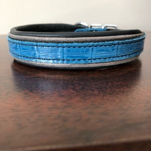 Leather padded dog collar